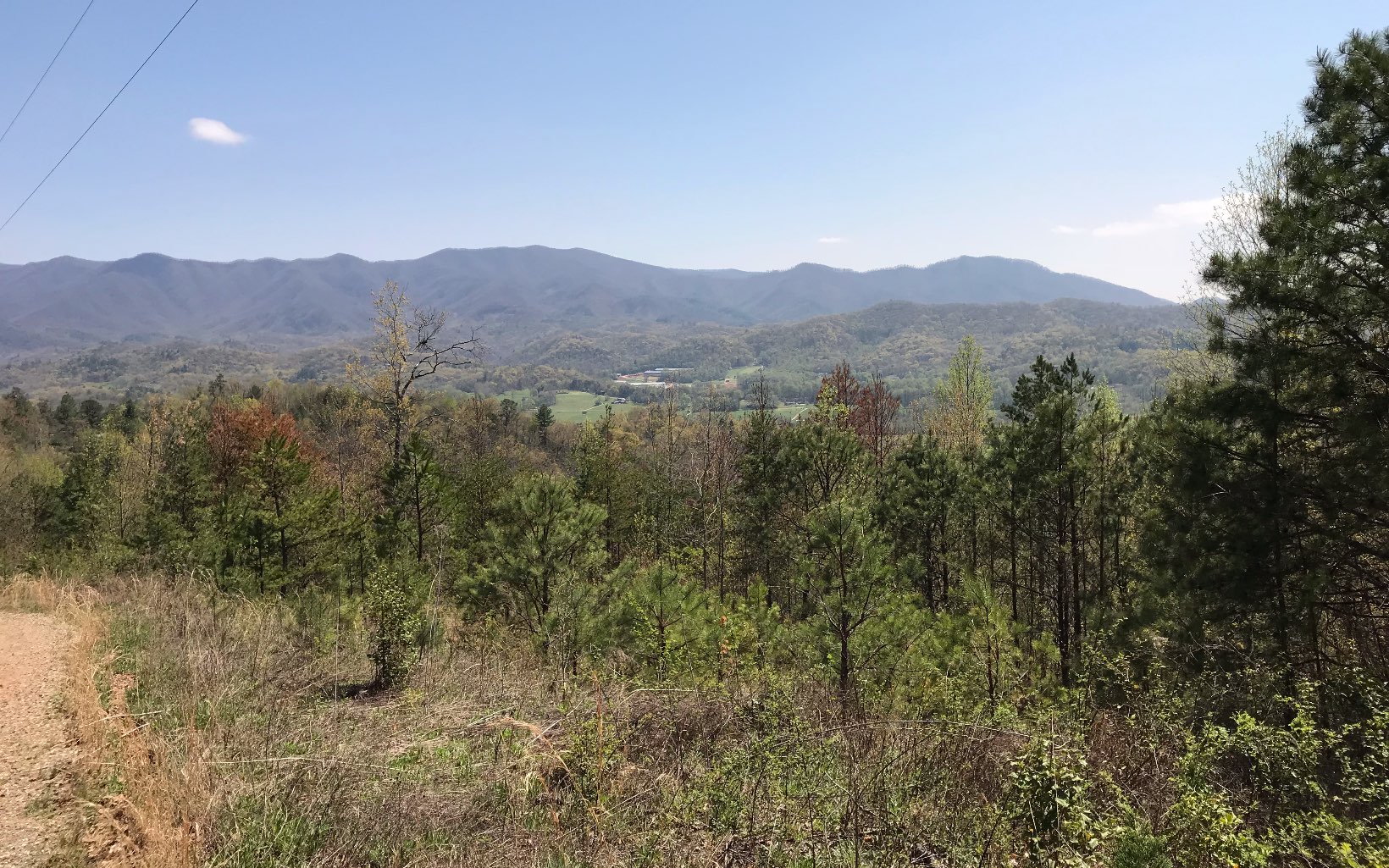 56 Walnut Cove Road Marble, NC 28905 - Photo 1 of 1 Main View