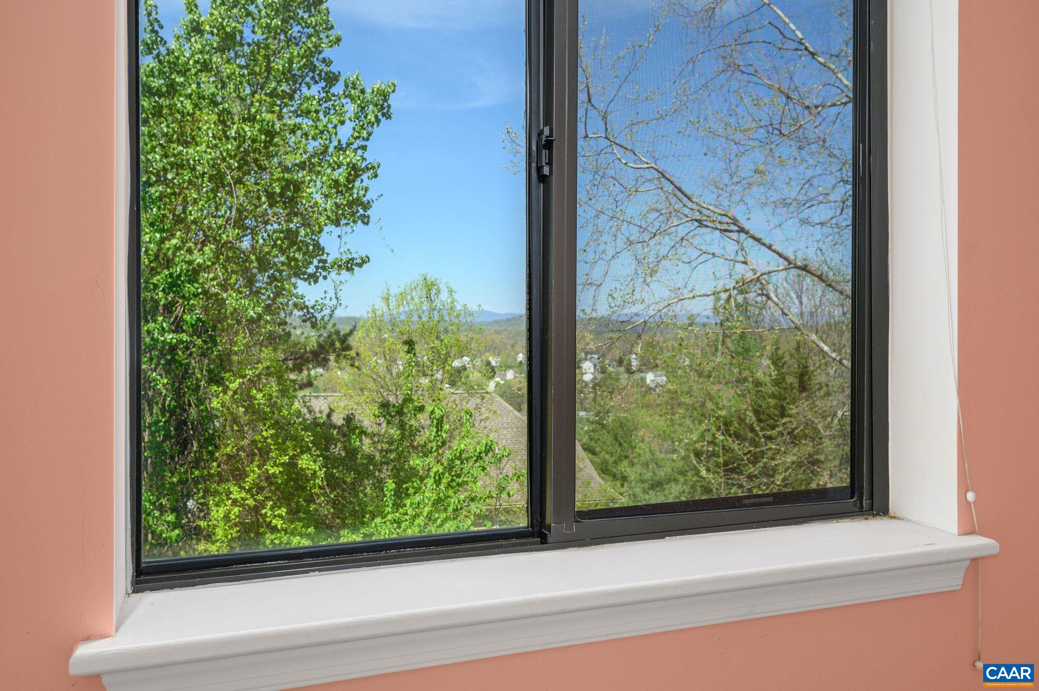 1294 Millpond Road Charlottesville, VA 22902 - Photo 23 of 33