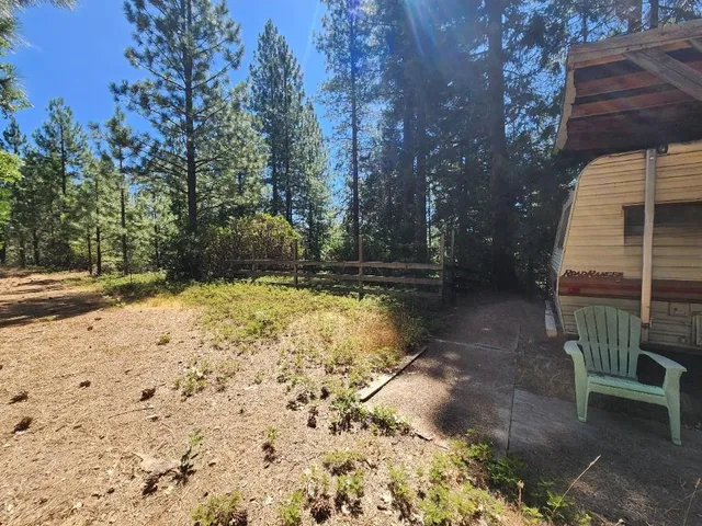 a view of yard with trees