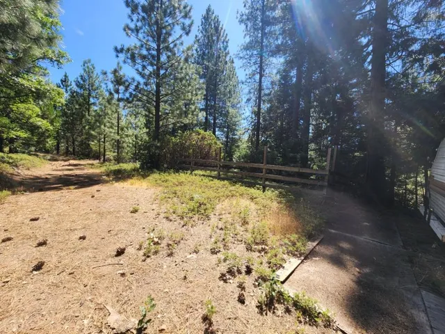 a view of a yard with a tree