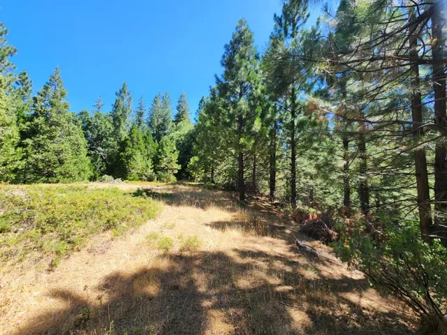 a view of outdoor space and yard