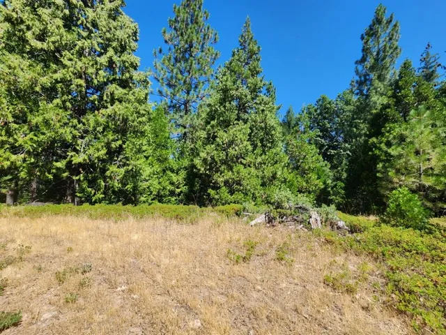 a view of a yard covered with snow in back