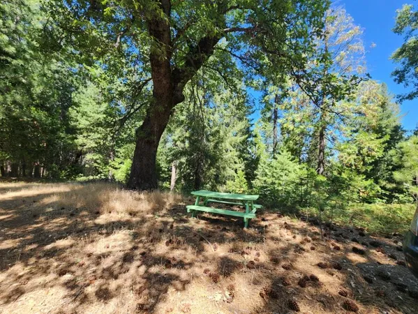 a view of backyard with a small cabin and wooden fence