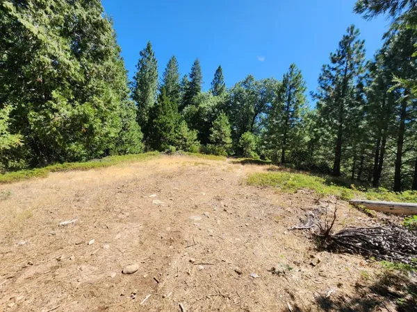 a view of a yard with trees in the background