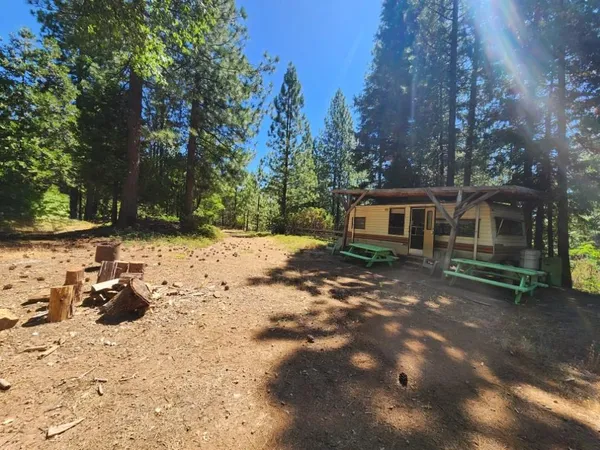 a view of a back yard with a tree