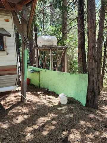 a view of a yard with large trees
