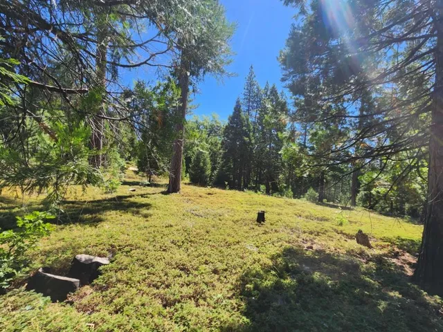 a backyard of a house with lots of green space