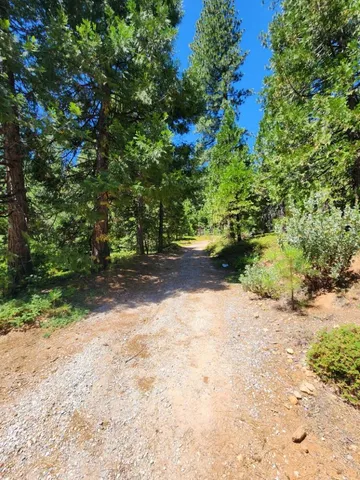 a view of a dirt road with trees in the background