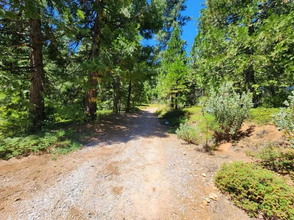 a view of a road with a trees in the background