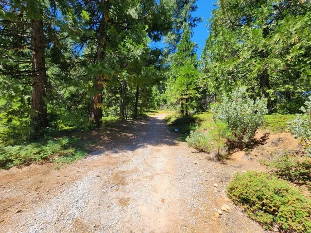 a view of a road with a trees in the background