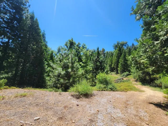 a view of a house with a tree