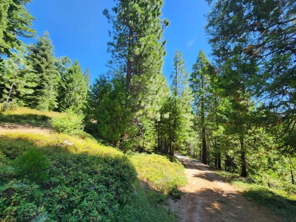 $189,000 | 0 Lily Valley Way, West Point, CA 95255