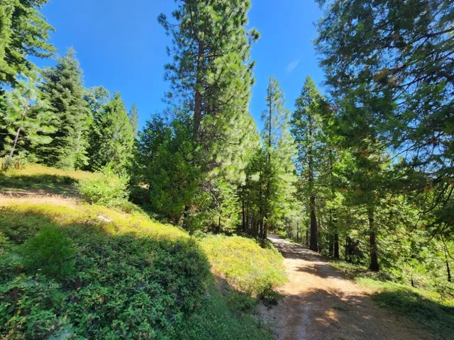 $189,000 | 0 Lily Valley Way, West Point, CA 95255