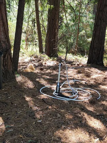 a view of a tree in the middle of a yard