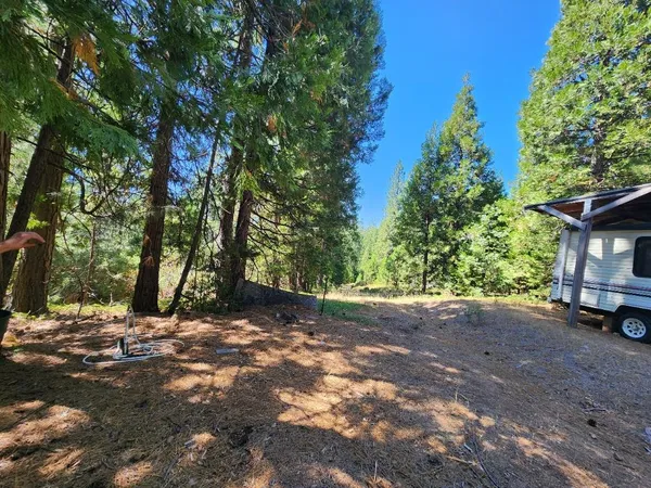 a view of a yard with a tree