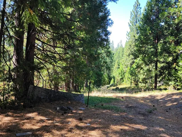 a view of outdoor space and yard