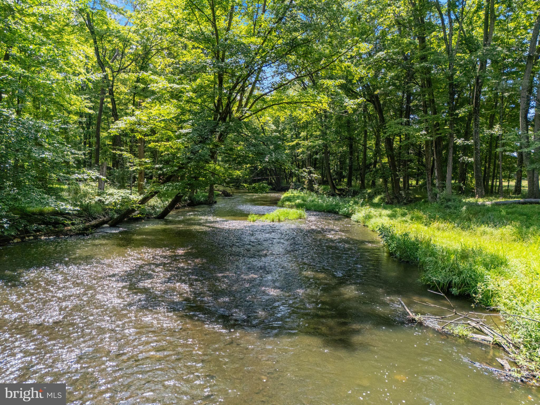 137 Callowhill Road Chalfont, PA 18914 - Photo 58 of 59 a view of a lake with a yard