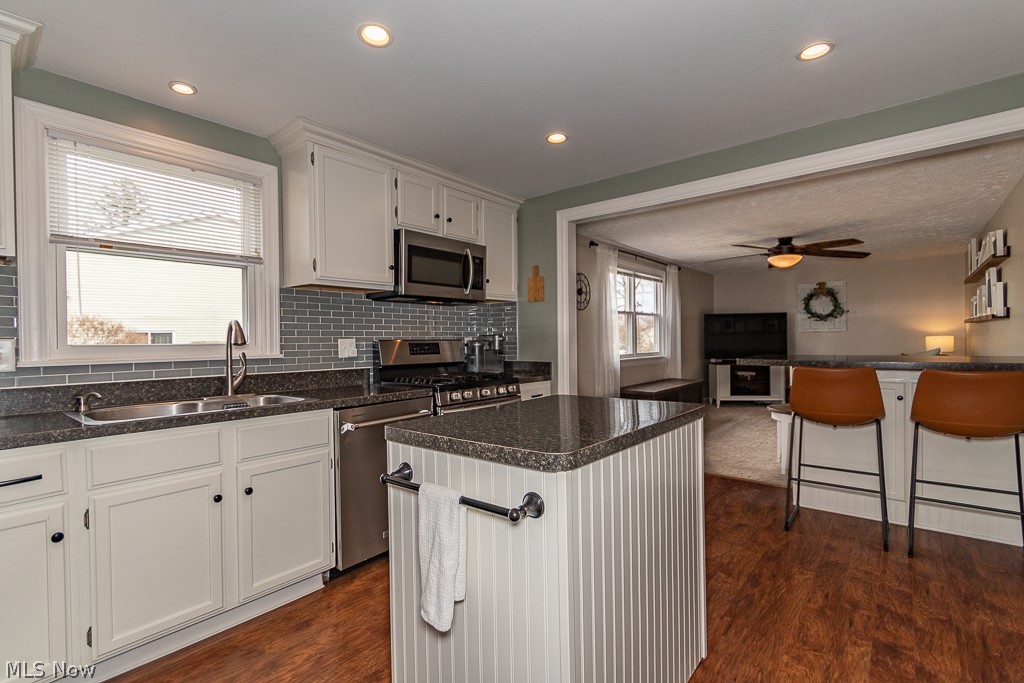 3080 Gale Road Willoughby, OH 44094 - Photo 4 of 45 Kitchen with a kitchen island, ceiling fan, appliances with stainless steel finishes, dark hardwood / wood-style flooring, and sink