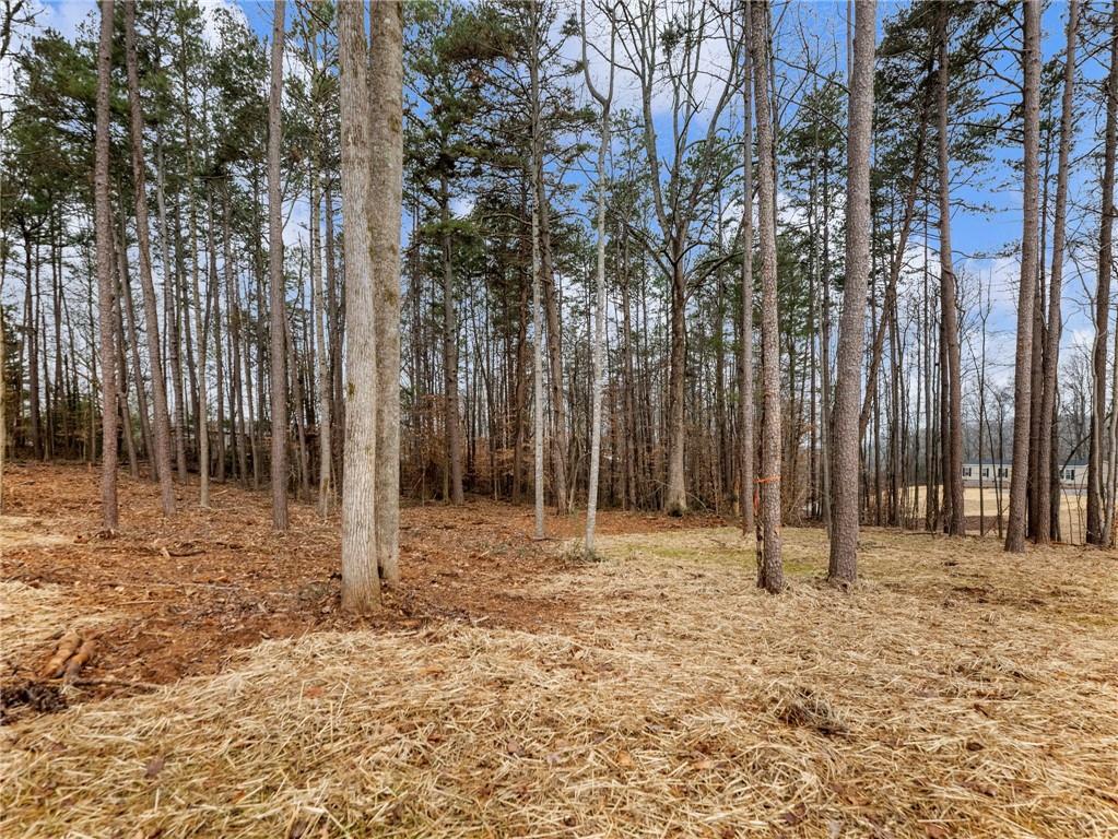 5230 Bogus Road Commerce, GA 30530 - Photo 38 of 45 a backyard of a house with lots of tall trees