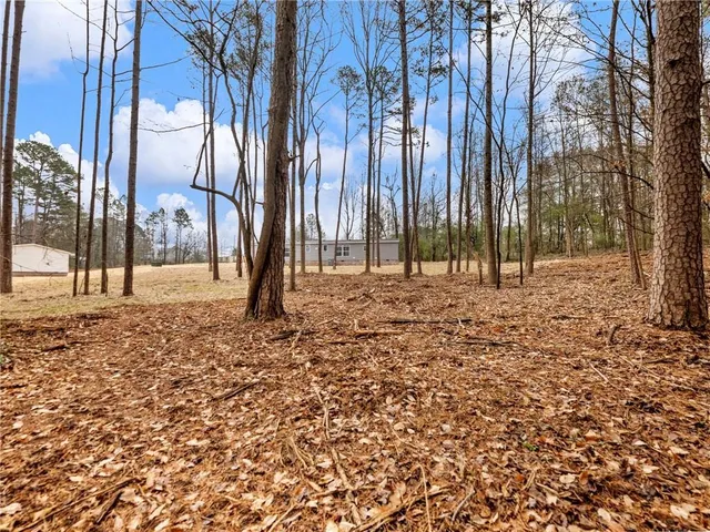 a view of tall trees with a yard