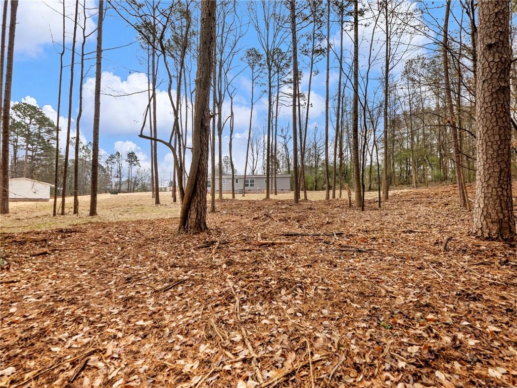 5230 Bogus Road Commerce, GA 30530 - Photo 39 of 45 a view of tall trees with a yard