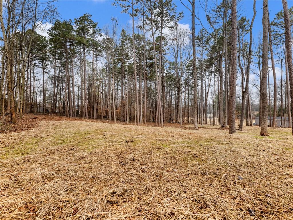 5230 Bogus Road Commerce, GA 30530 - Photo 42 of 45 a row of trees with wooden fence