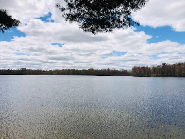 10481 Indian Lake Road Reed City, MI 49677 - Photo 1 of 17 IMG_3284