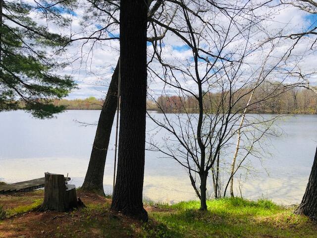 10481 Indian Lake Road Reed City, MI 49677 - Photo 13 of 17 IMG_3288
