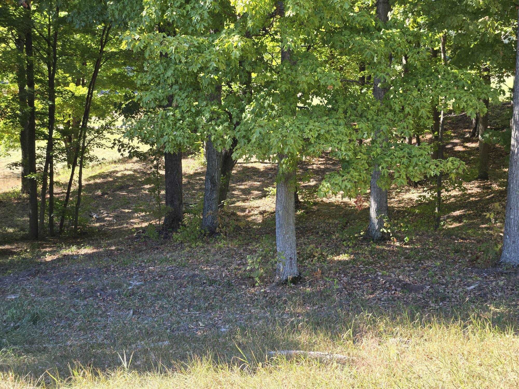 12 Heather Ridge Trail Beulah, MI 49617 - Photo 6 of 8