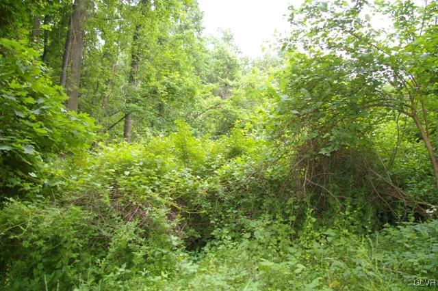 Apple Street Hellertown, PA 18055 - Photo 11 of 26