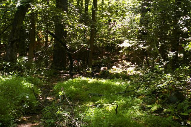Apple Street Hellertown, PA 18055 - Photo 18 of 26