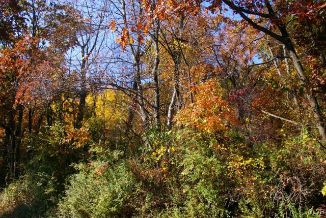 Apple Street Hellertown, PA 18055 - Photo 22 of 26