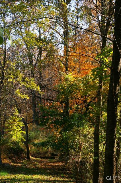 Apple Street Hellertown, PA 18055 - Photo 6 of 26