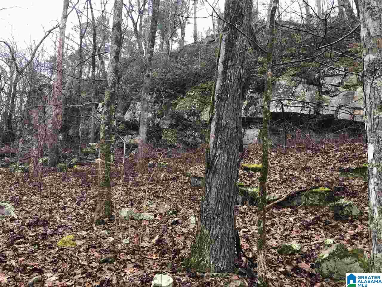 2660 Waldrop Road Ashville, AL 35953 - Photo 43 of 48