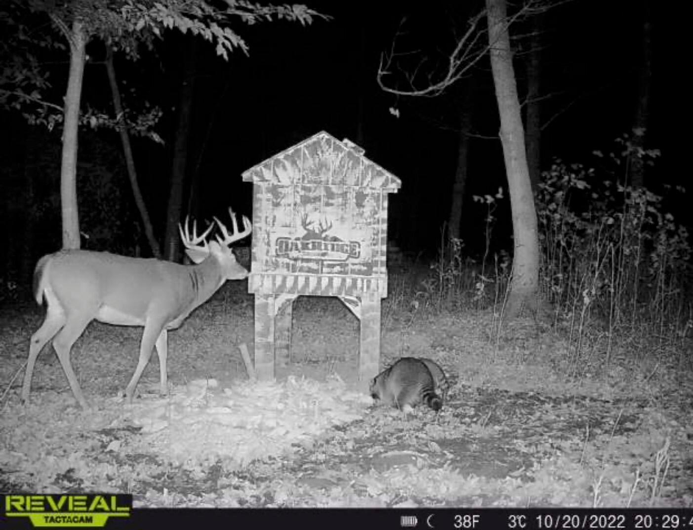 0 Virginia Ridge Road Philo, OH 43771 - Photo 23 of 29 lead photo copy