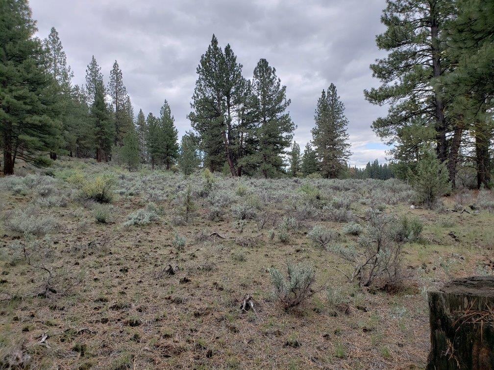 0 24 Bamford Road Bly, OR 97622 - Photo 7 of 19 Additional Photo