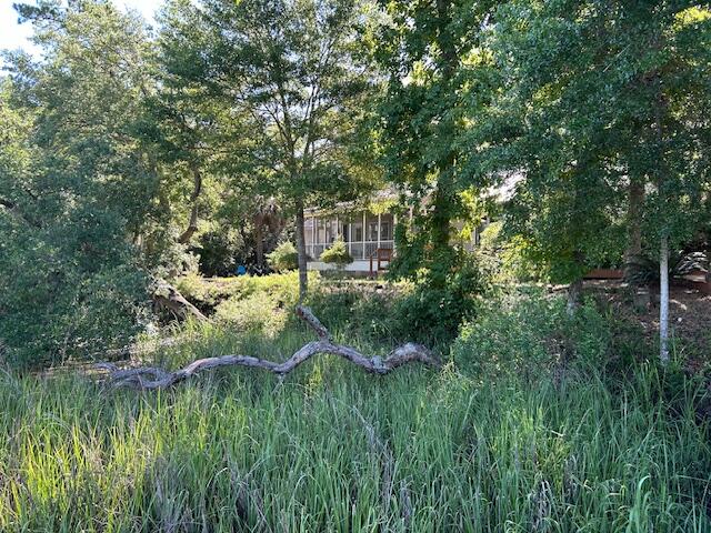 8599 Middleton Point Lane Edisto Island, SC 29438 - Photo 27 of 51 8599