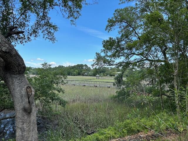 8599 Middleton Point Lane Edisto Island, SC 29438 - Photo 30 of 51 8599