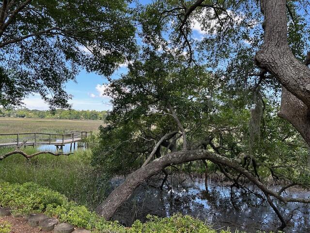 8599 Middleton Point Lane Edisto Island, SC 29438 - Photo 31 of 51 8599