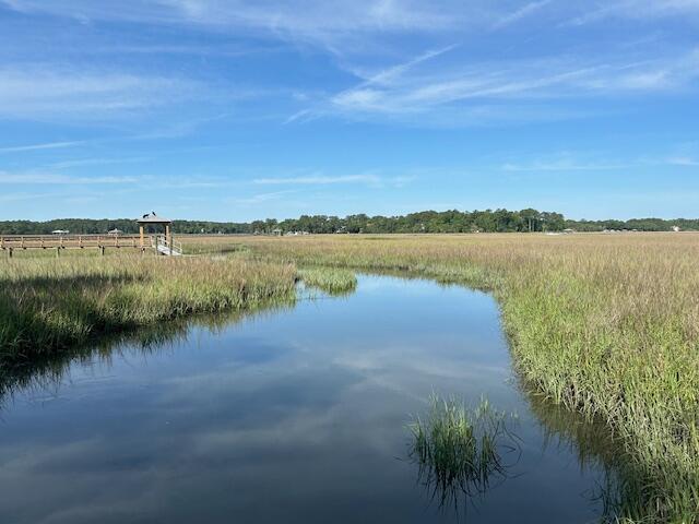8599 Middleton Point Lane Edisto Island, SC 29438 - Photo 35 of 51 8599