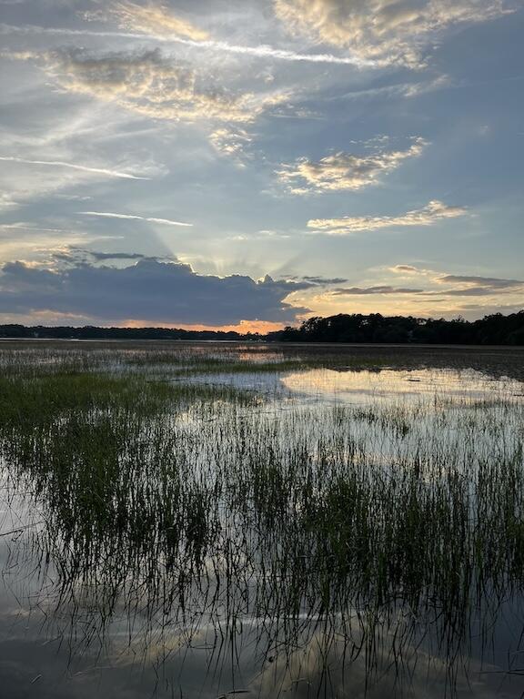 8599 Middleton Point Lane Edisto Island, SC 29438 - Photo 38 of 51 8599