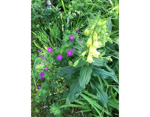 128 State Street Amherst, MA 01002 - Photo 24 of 30 Gallery Image 24