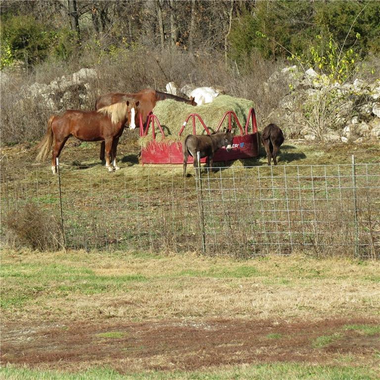 8019 Northwest Sale Barn Road Cameron, MO 64429 - Photo 29 of 34