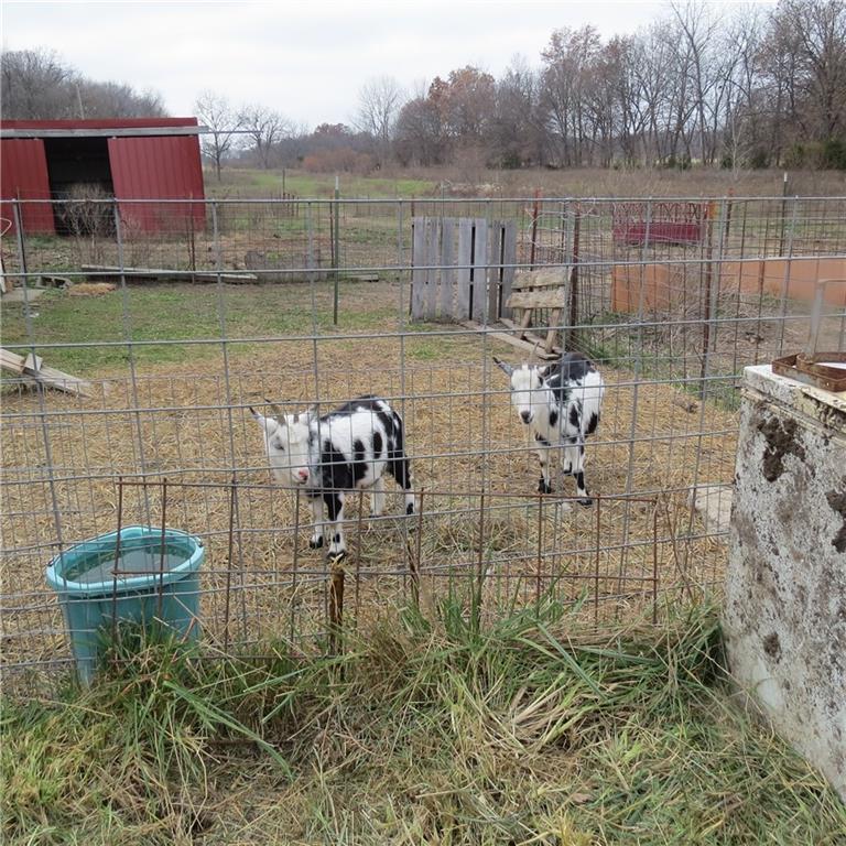 8019 Northwest Sale Barn Road Cameron, MO 64429 - Photo 30 of 34