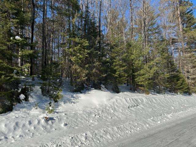 On White Birch Road, Unit LOT 10 Eagle River, WI 54521 - Photo 6 of 9 Gallery Image 6