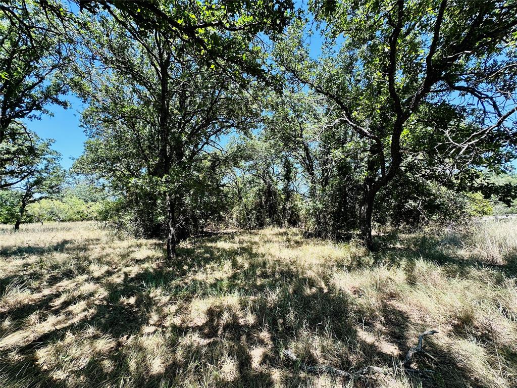 1020 Pleasant Valley Road May, TX 76857 - Photo 33 of 40 Gallery Image 33
