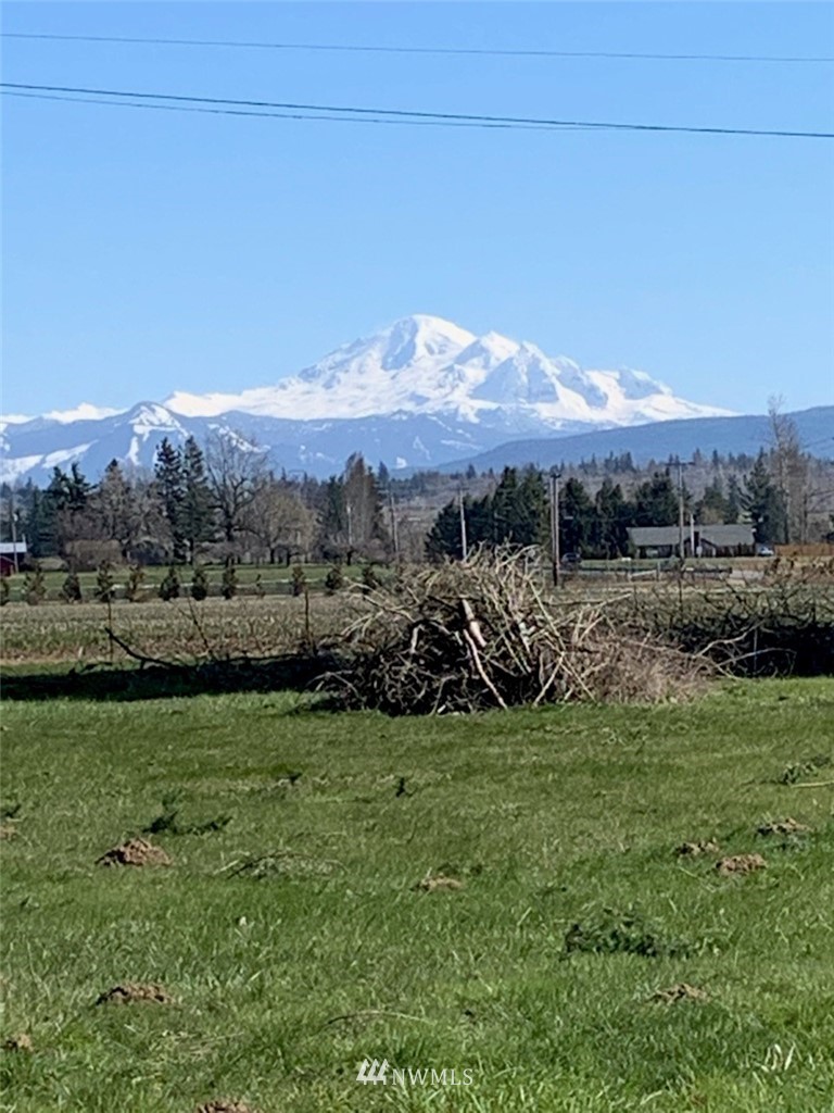 776 West Smith Road Bellingham, WA 98226 - Photo 28 of 29 a view of a field with mountains in the background