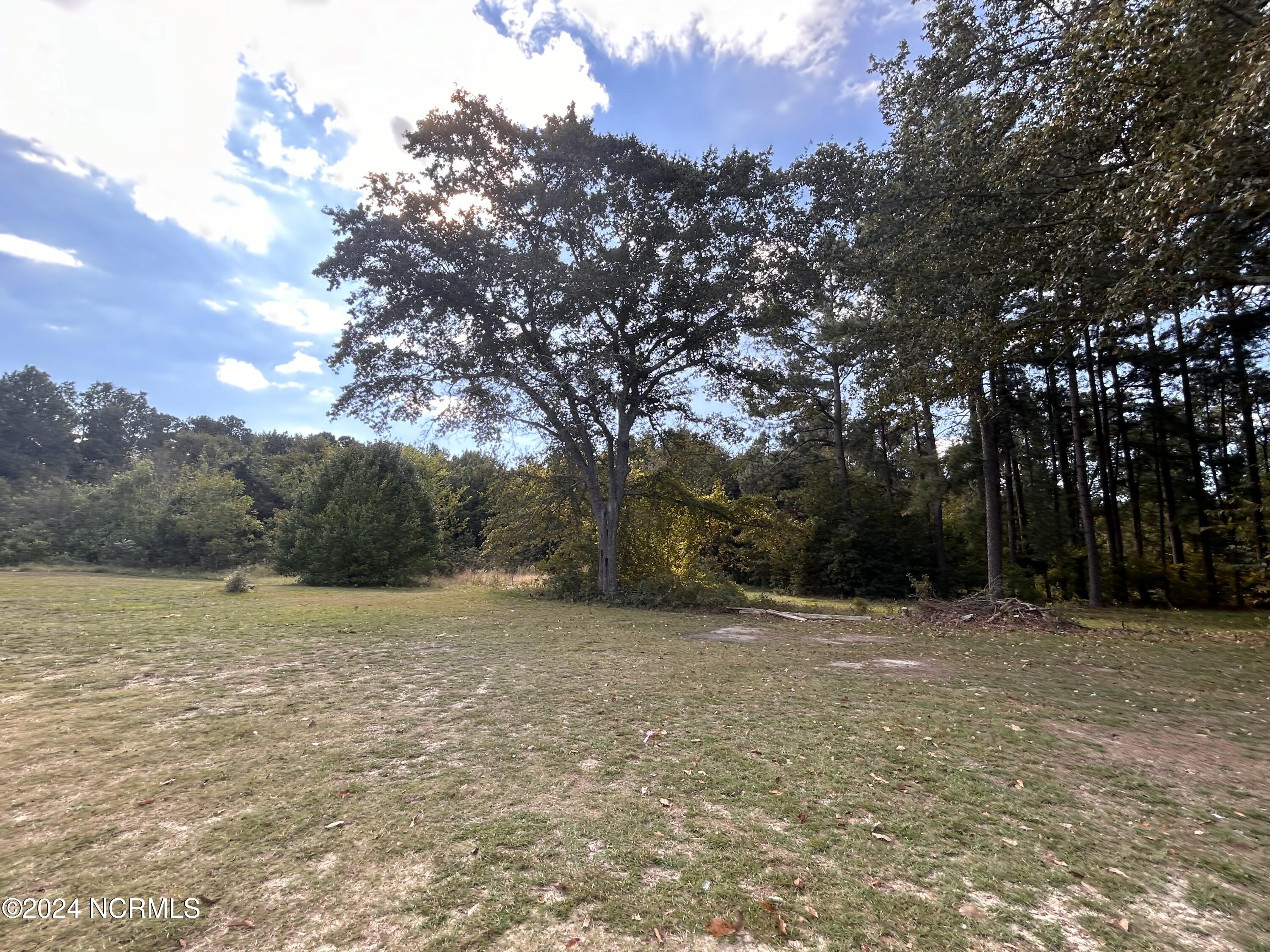 148 Broadleaf Drive Hamlet, NC 28345 - Photo 31 of 38 IMG_5350