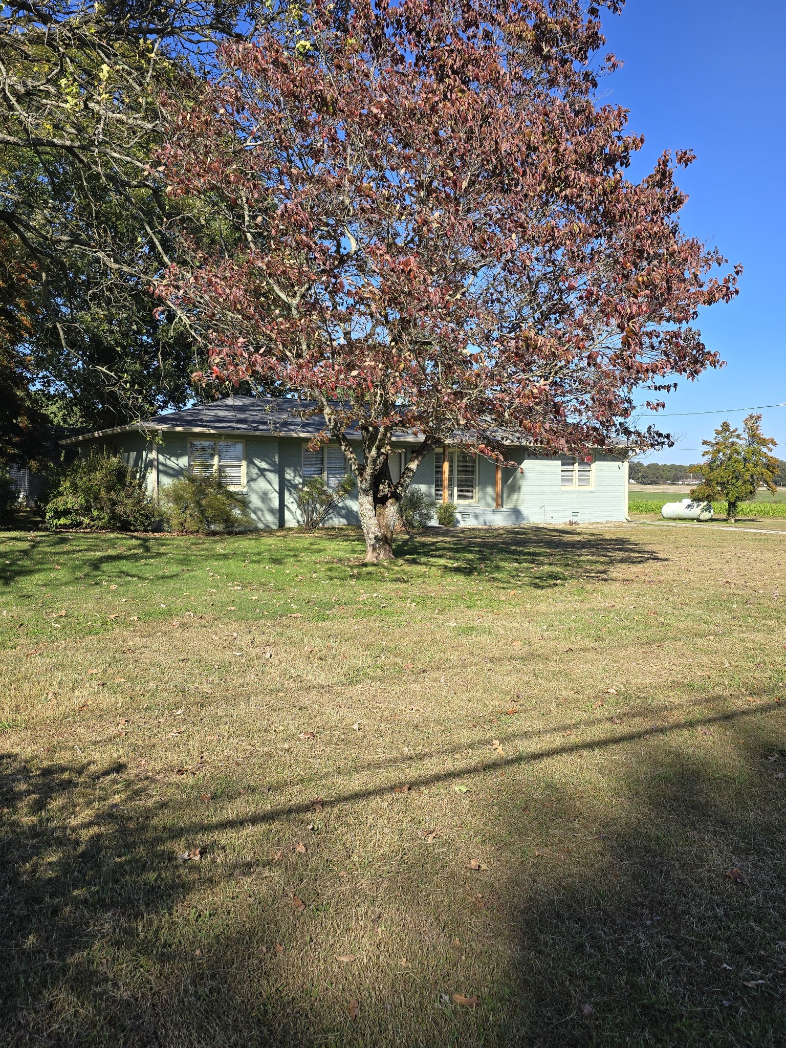 1969 Bobo Section Road Hazel Green, AL 35750 - Photo 34 of 47 a view of a yard with an outdoor space