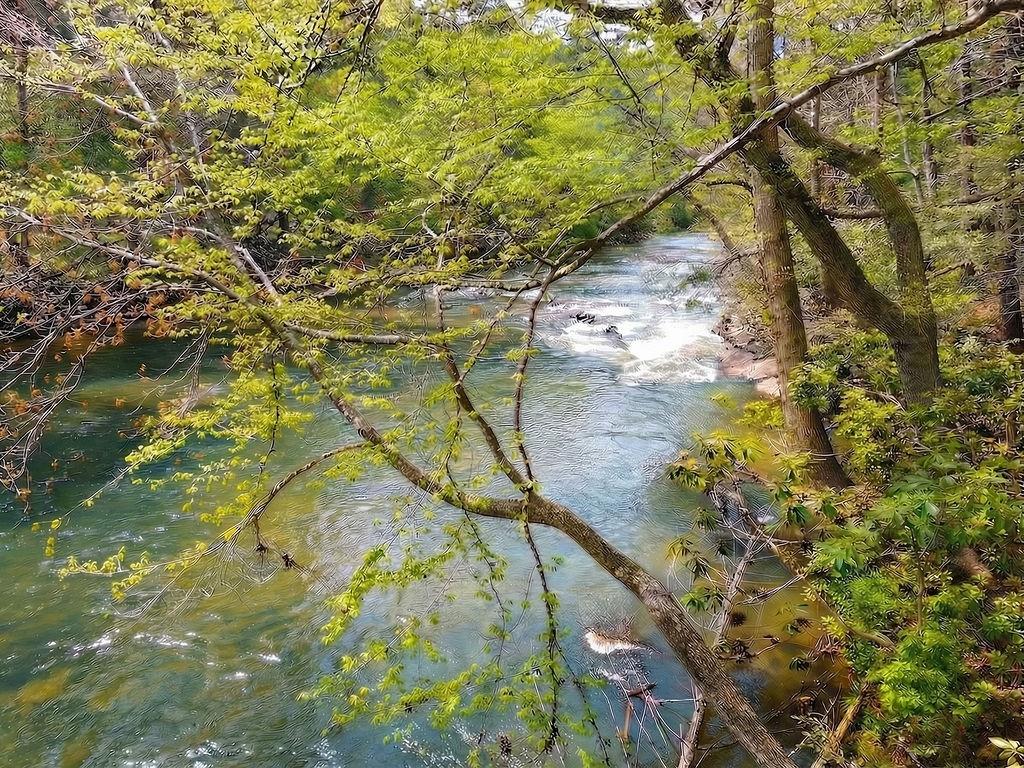 120 Bear Den Road Dahlonega, GA 30533 - Photo 11 of 67